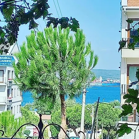 Palmiye Apart Hamidiye