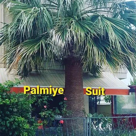 Palmiye Apart Appartement Hamidiye