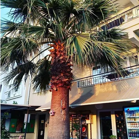Palmiye Apart Appartement *