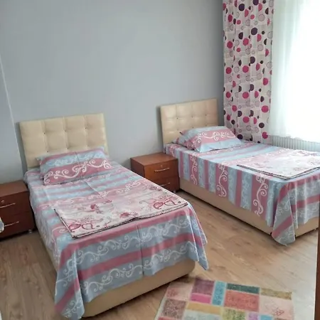 Palmiye Apart * Hamidiye